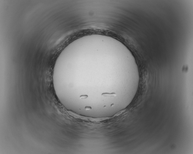X0000110921110200907091450