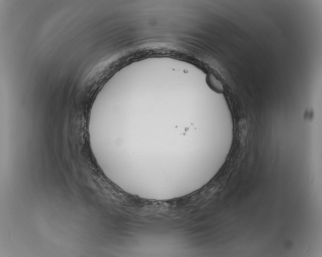 X0000110921111200907091450