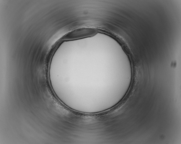 X0000110921114200907091451