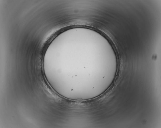 X0000110921115200907091451
