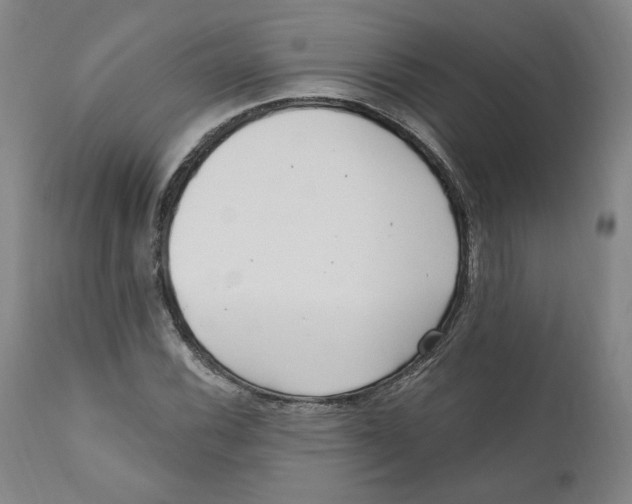 X0000110921116200907091451
