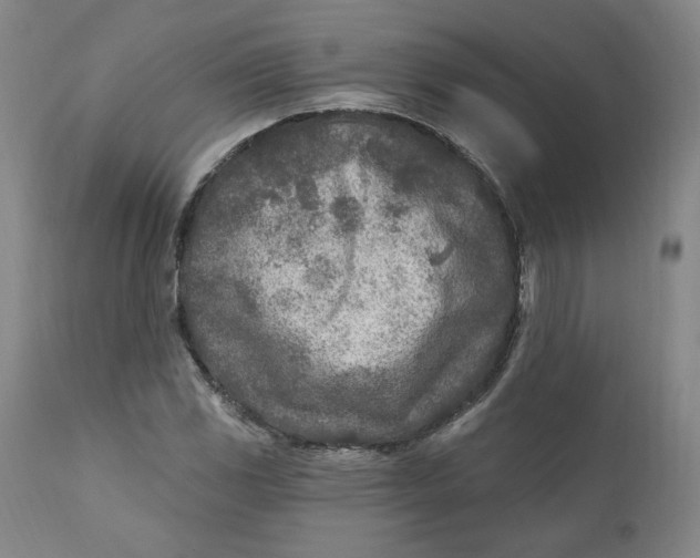 X0000110921117200907091451