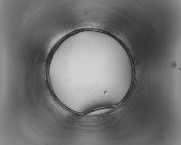 X0000110921120200907091451