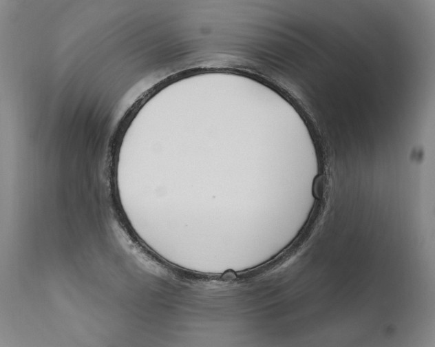 X0000110921122200907091451
