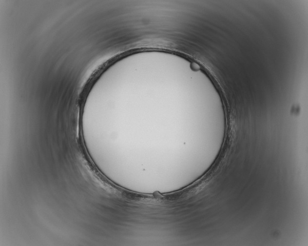 X0000110921123200907091451