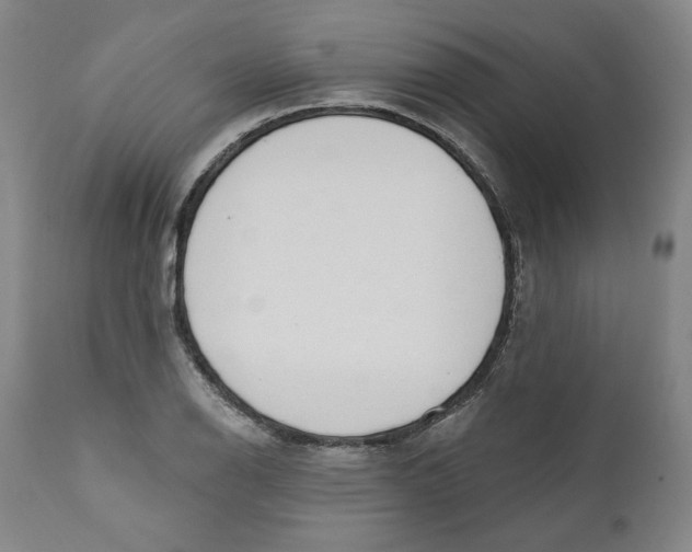 X0000110921126200907091451