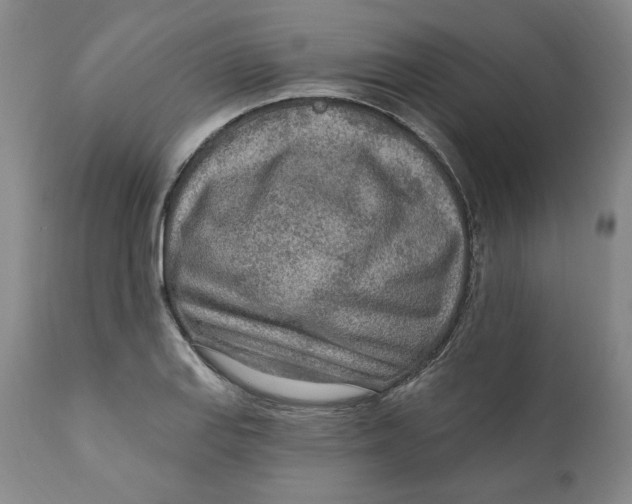 X0000110921127200907091451