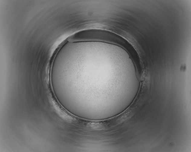 X0000110921128200907091451