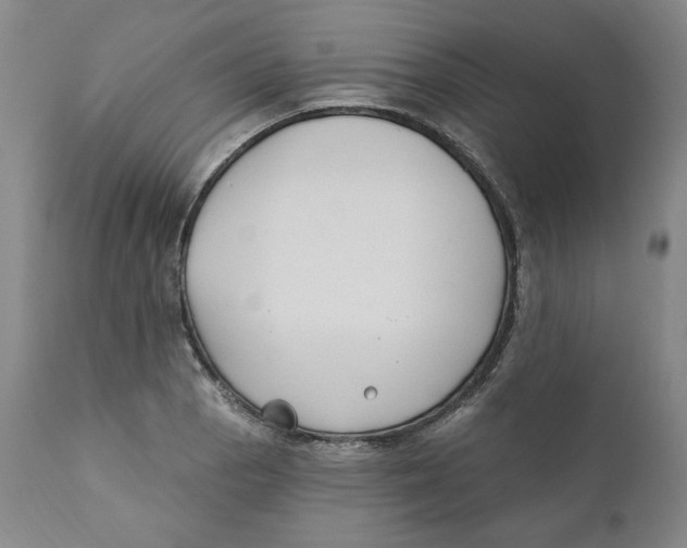 X0000110921129200907091451