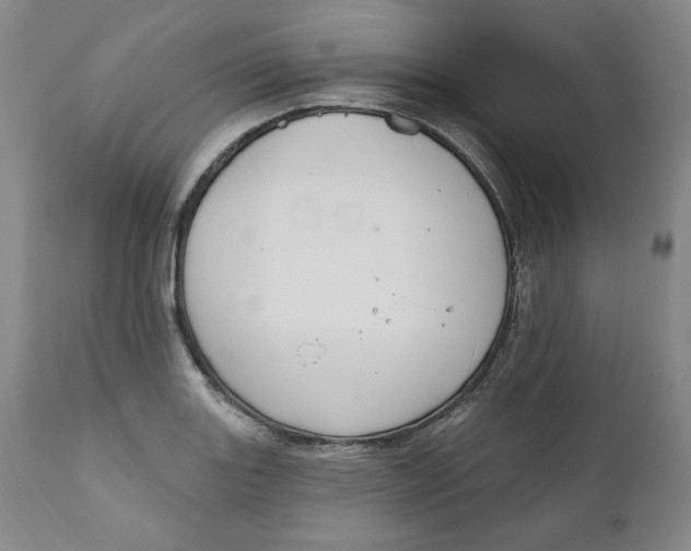 X0000110921131200907091451