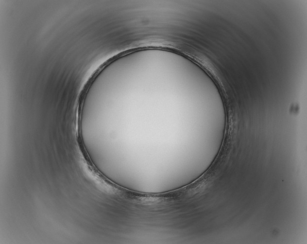X0000110921132200907091451