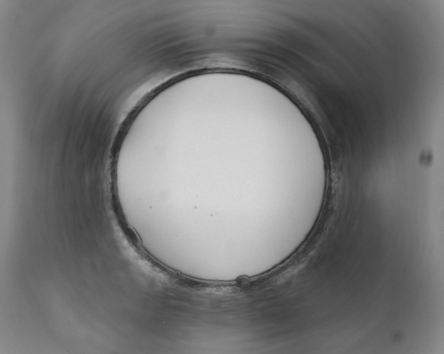 X0000110921133200907091451