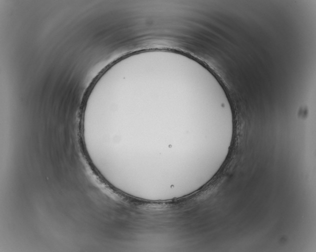 X0000110921134200907091451