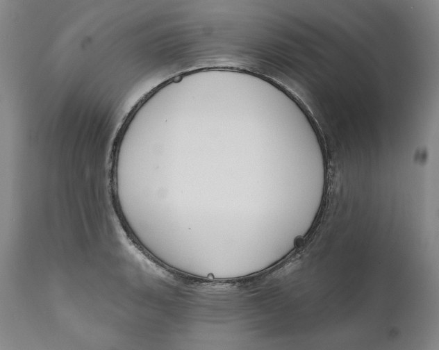 X0000110921135200907091451