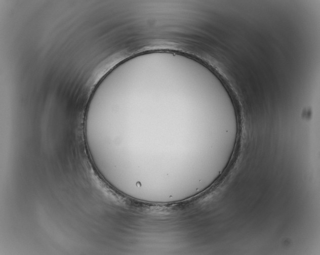 X0000110921137200907091451