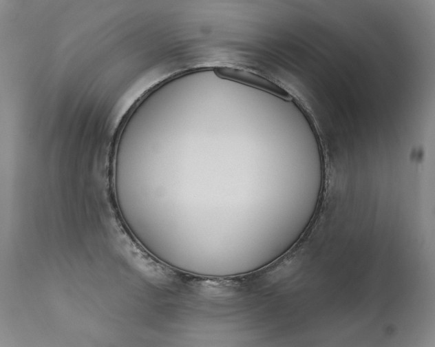 X0000110921138200907091451