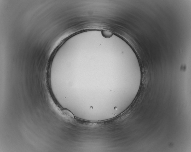 X0000110921139200907091451