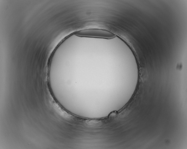X0000110921140200907091451