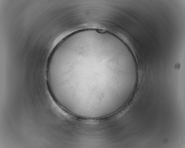 X0000110921141200907091451