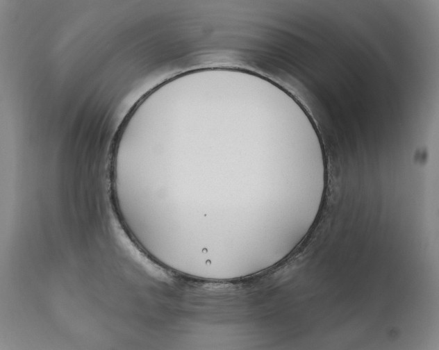 X0000110921142200907091451