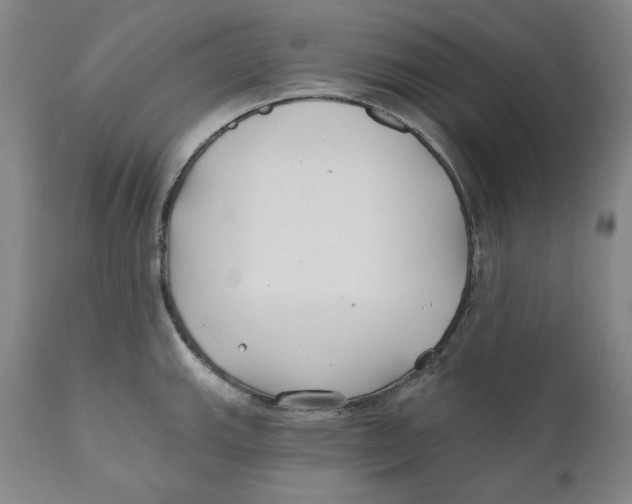 X0000110921143200907091451