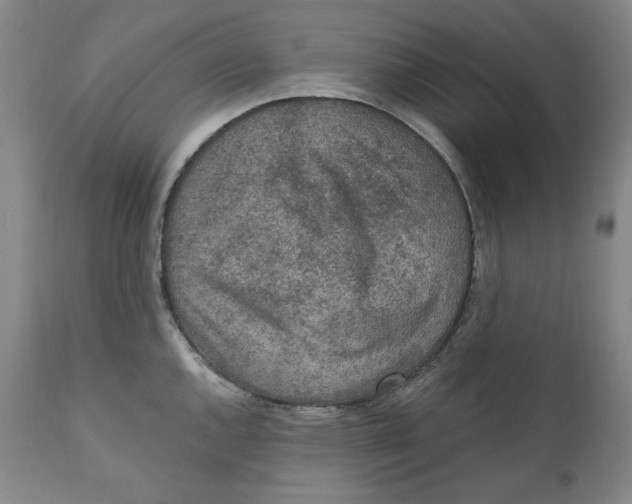 X0000110921144200907091451
