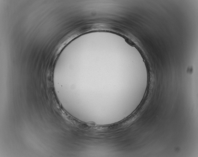 X0000110921145200907091451