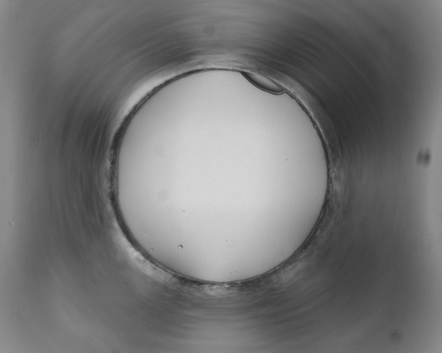 X0000110921147200907091451