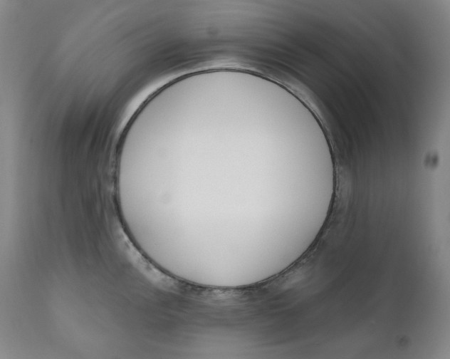 X0000110921148200907091451