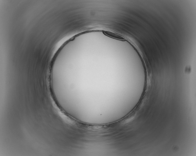 X0000110921149200907091451