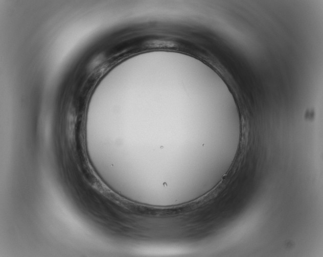 X0000110921151200907091451