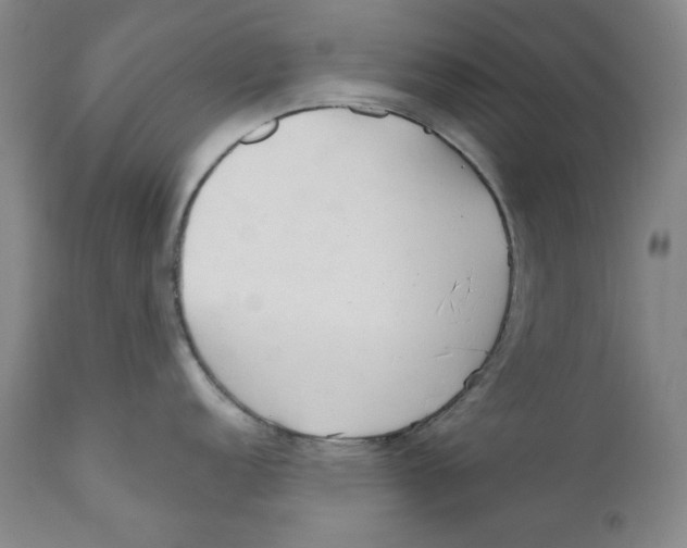 X0000110921152200907091451