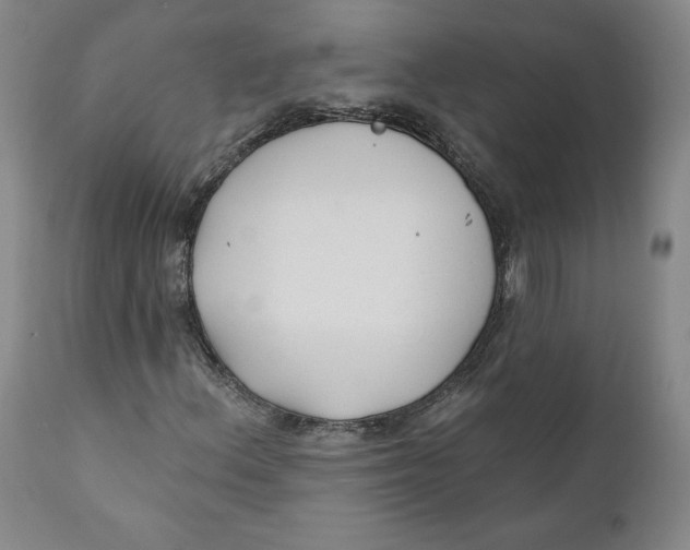 X0000110921156200907091450