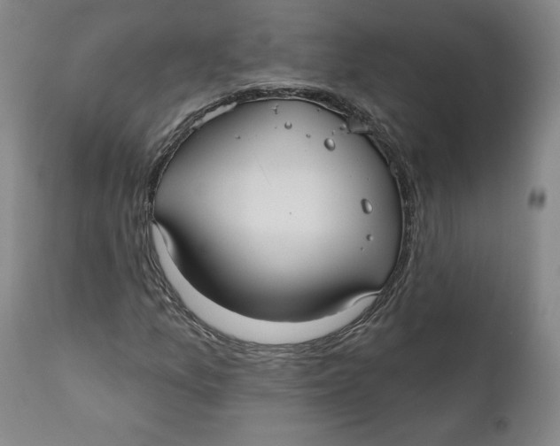 X0000110921157200907091450