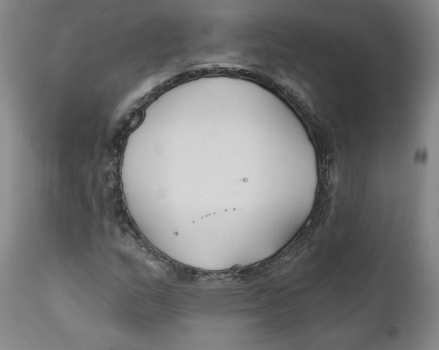 X0000110921159200907091450