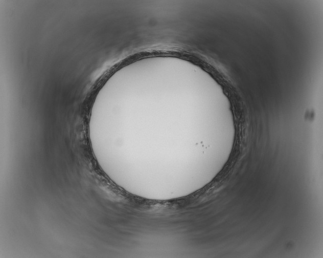 X0000110921160200907091450