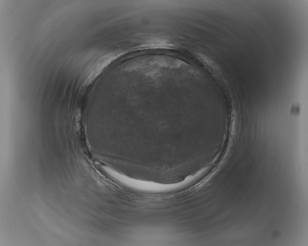 X0000110921161200907091450