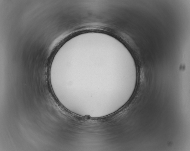 X0000110921164200907091450