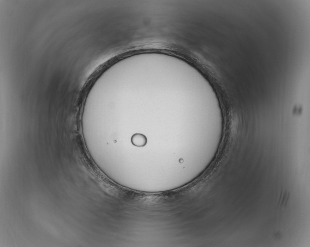 X0000110921166200907091450