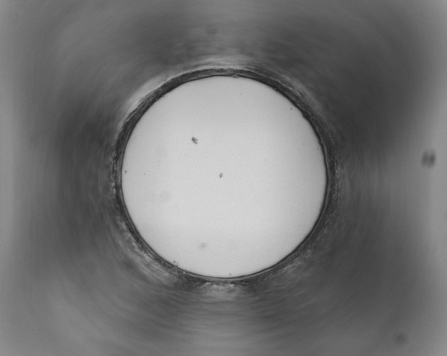 X0000110921168200907091450