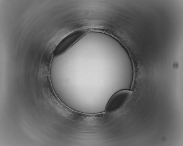 X0000110921169200907091450