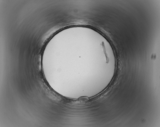 X0000110921171200907091450