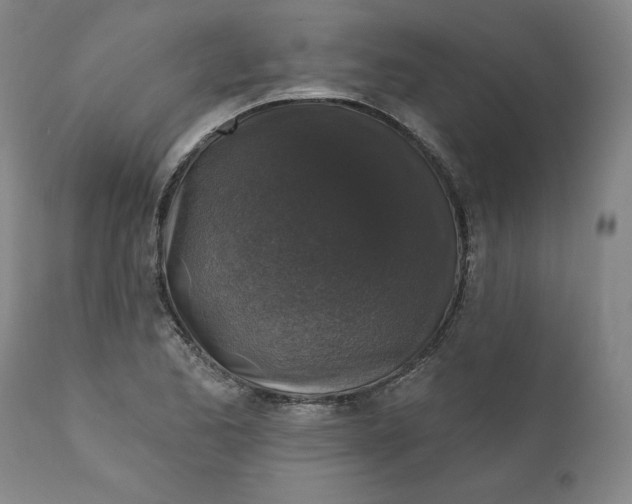 X0000110921173200907091450