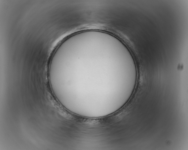 X0000110921174200907091450