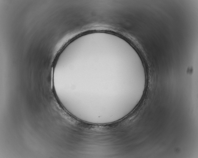 X0000110921175200907091450