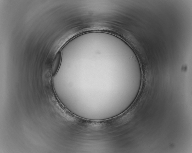 X0000110921177200907091450