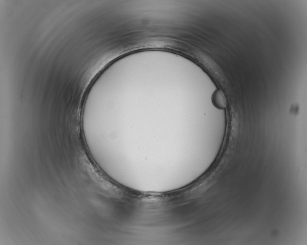 X0000110921178200907091450