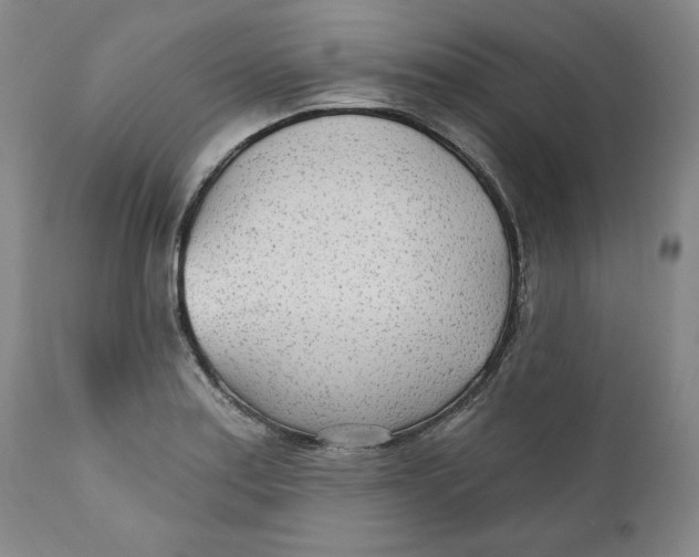 X0000110921179200907091450