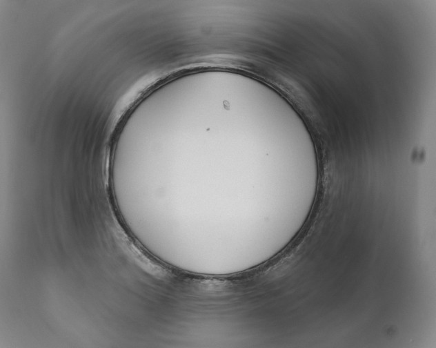 X0000110921180200907091450