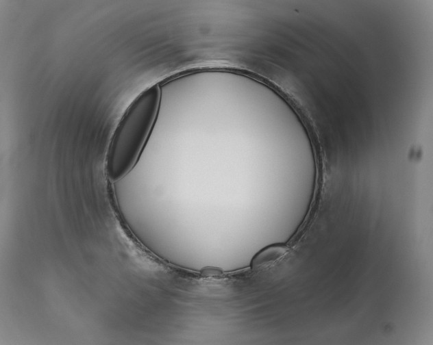 X0000110921181200907091450